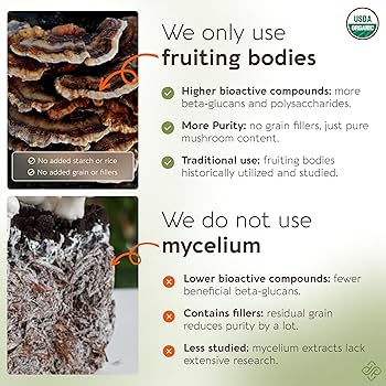 Amazon.com: Longevity Botanicals Super Six Organic Mushroom